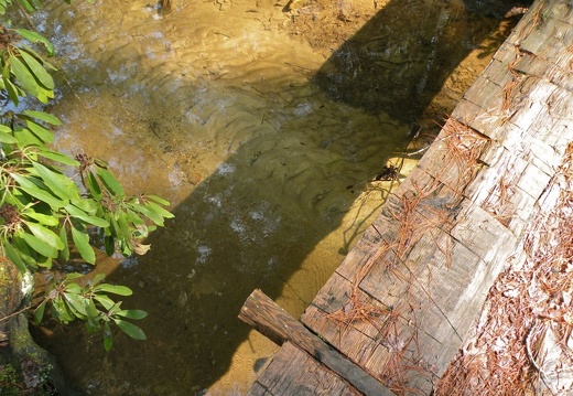 Parched Corn Creek - Rough Trail